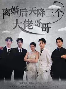 离婚后三个大佬狂追我免费阅读