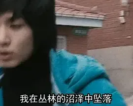 我的歌读后感泰戈尔