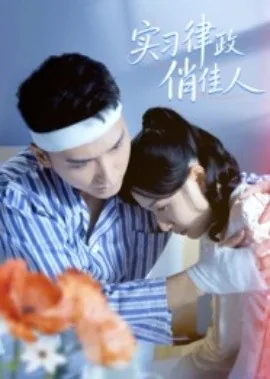 律政俏佳人案件分析