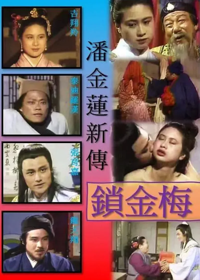 潘金莲新传锁金梅员外的妻子是谁演的