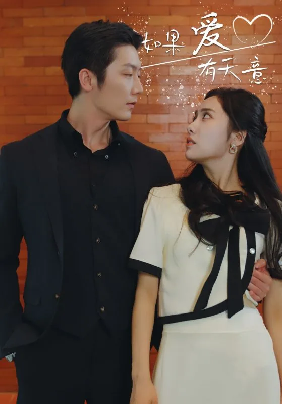 如果爱有天意是哪部电视剧的主题曲