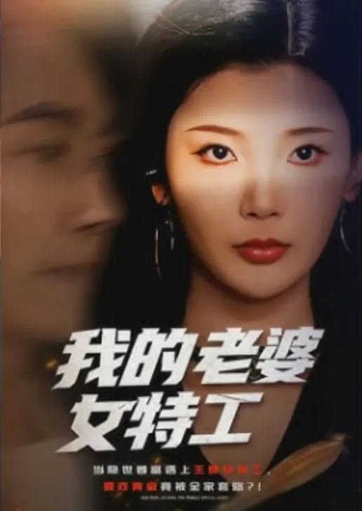 我的老婆是特工免费阅读无弹窗