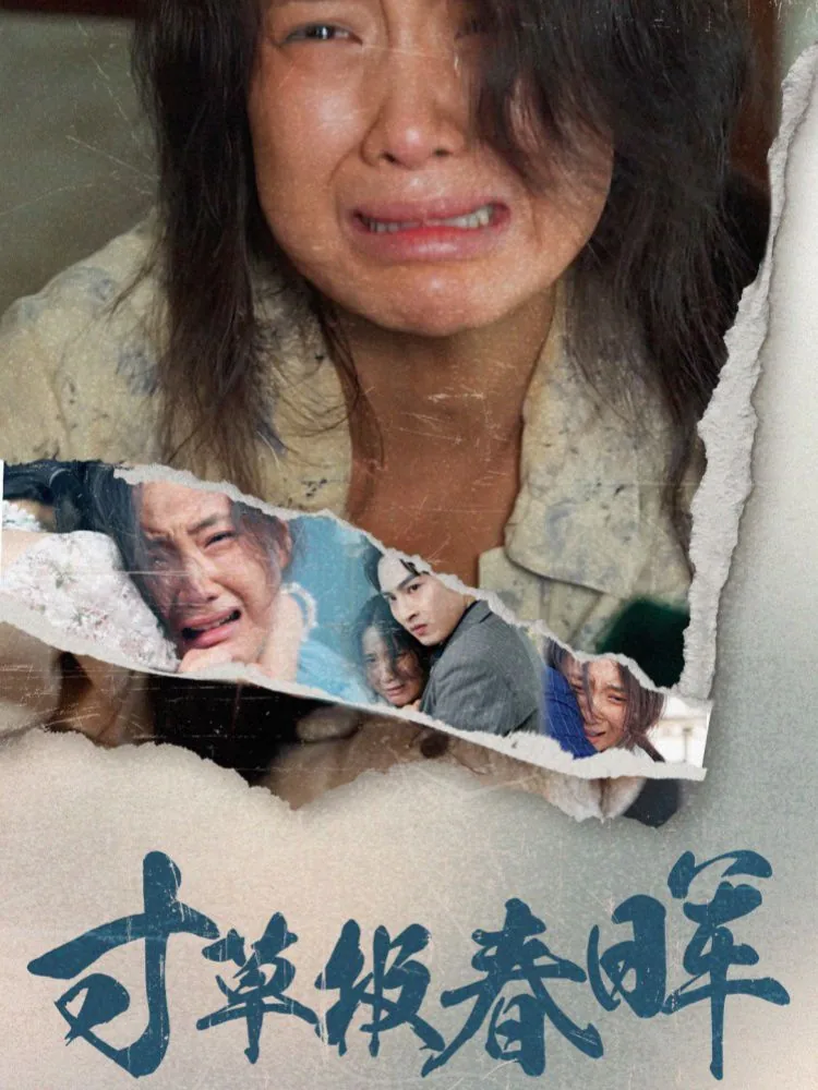 寸草心报春晖