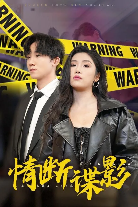 我的特工老婆的秘密任务