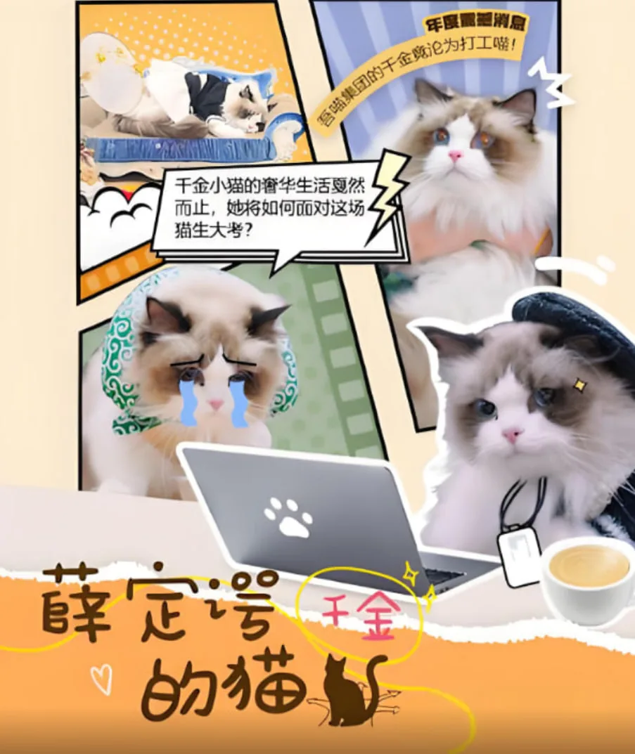 薛定谔的猫哪个出版社最正宗