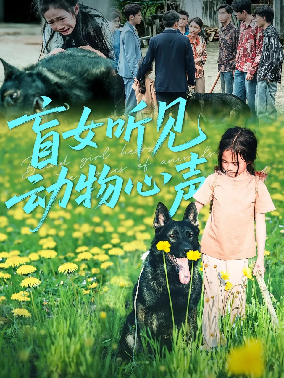 盲女听见动物心声免费观看