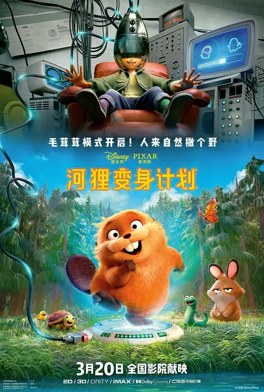 河狸变身计划内地引进时间