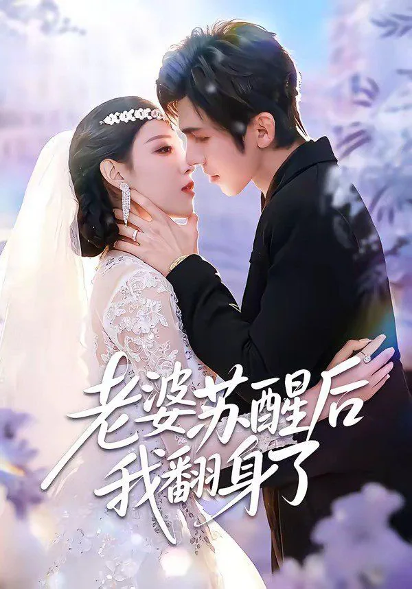 老婆苏醒后我翻身了男主是谁
