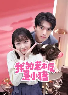 我的老板是小猪2