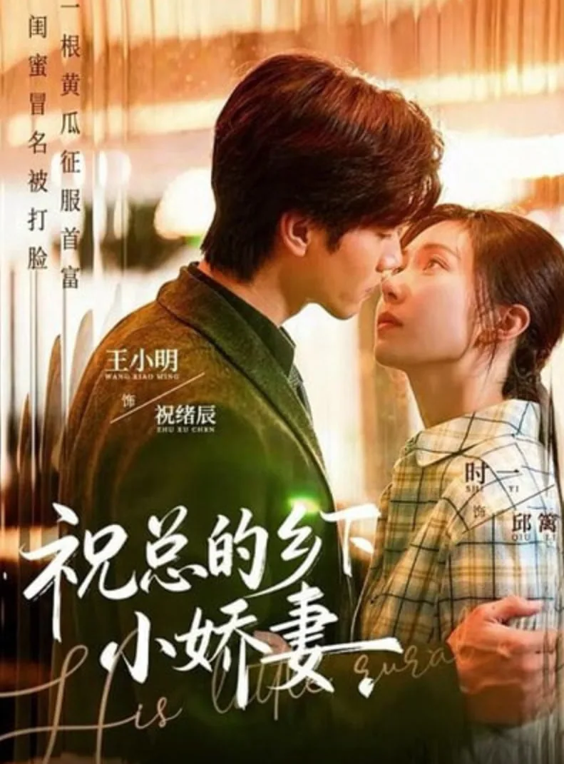 知青的乡下小娇妻免费阅读