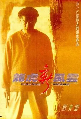 龙虎新风云剧情介绍