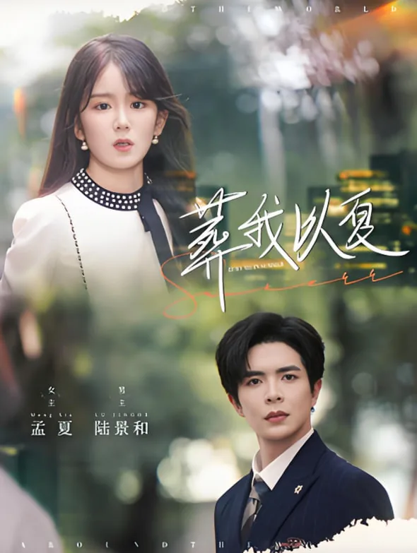 葬我以风在线阅读