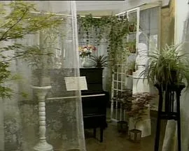 寒星1992全集免费观看