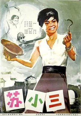苏小三投屏