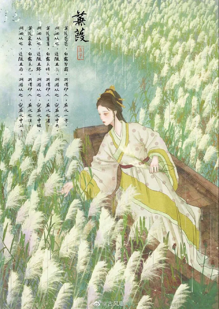 蒹葭原文全文