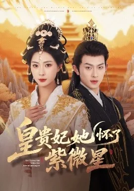 皇贵妃她怀了紫微星短剧完整版