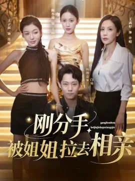 刚分手,被姐姐拉去相亲没事吧