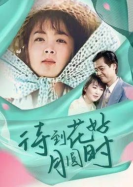 待到花好月圆时电视剧全集免费观看