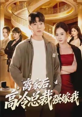 离婚后高冷女总裁攀我高枝