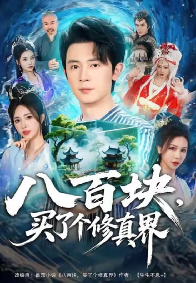 八百块,买了个修真界的东西
