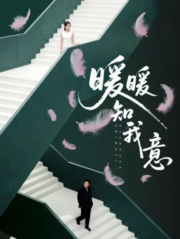 暖暖知我意短剧大结局