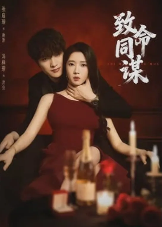 致命同谋电影在线观看