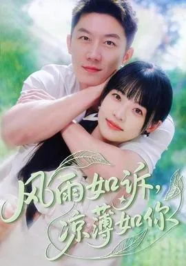 风雨如诉短剧免费观看
