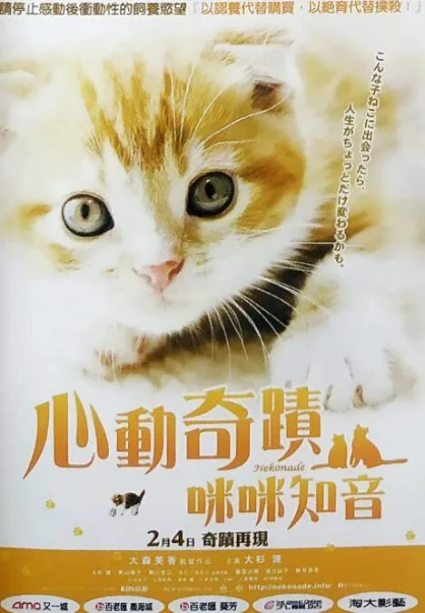 小猫奇缘电影解说
