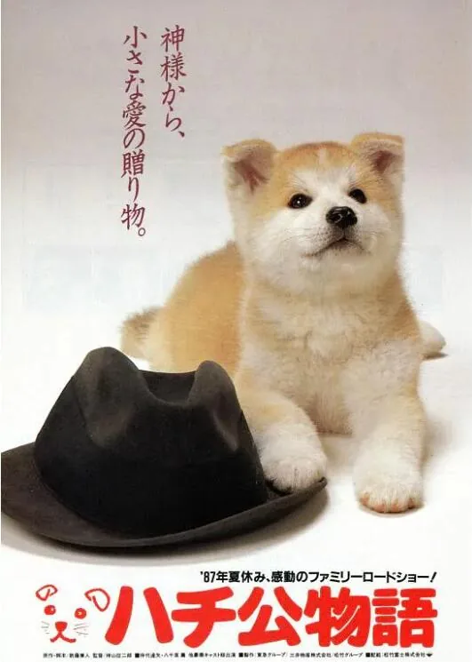 忠犬八公物语百度网盘资源