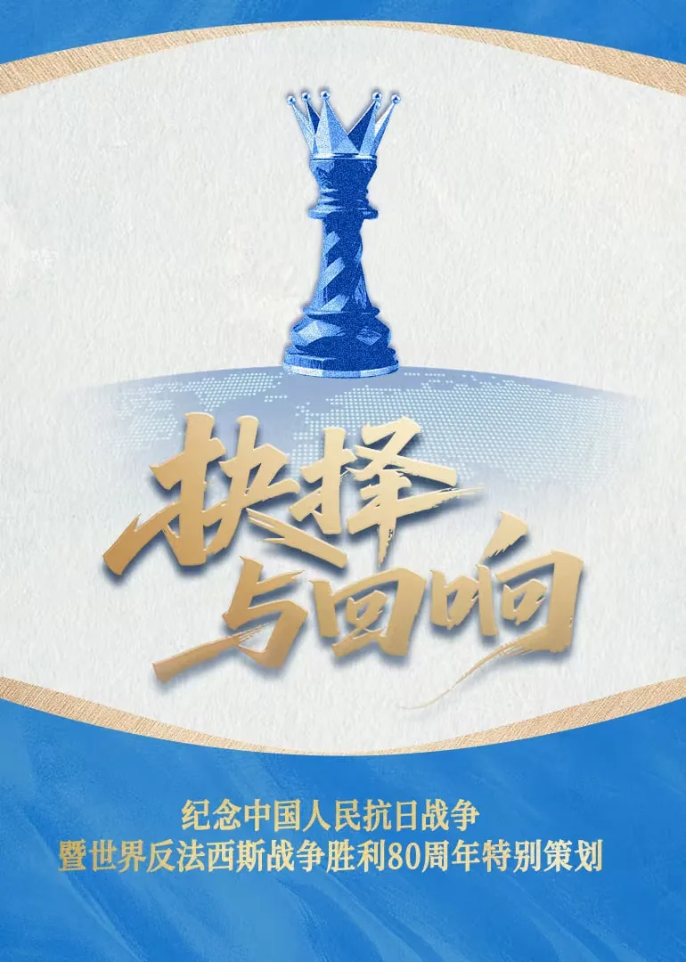 抉择与回响作文