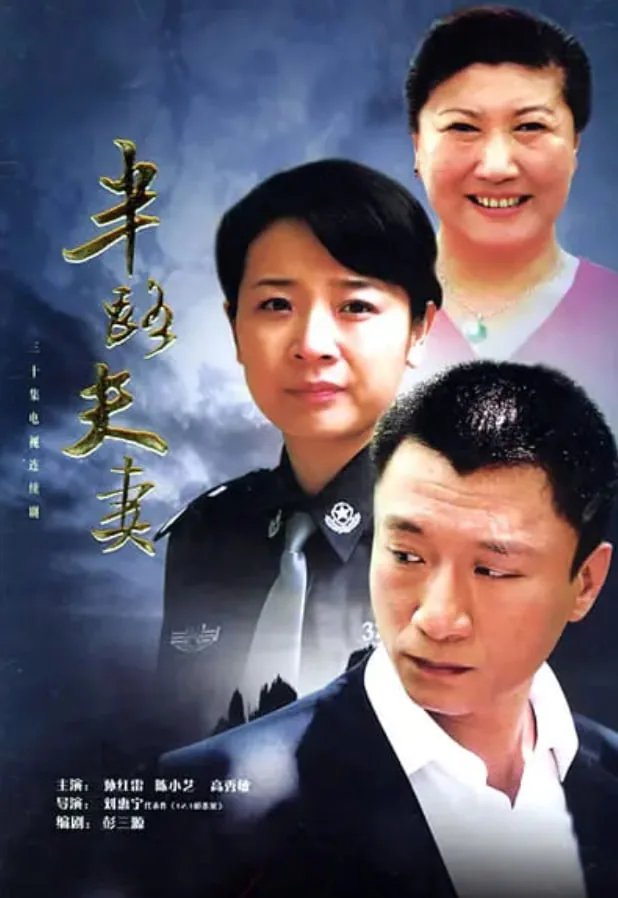 半路夫妻 电视剧