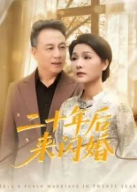二十年后来闪婚一共多少集?