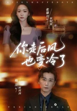你走后风也变冷了免费观看