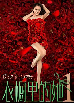 衣橱里的女孩作者
