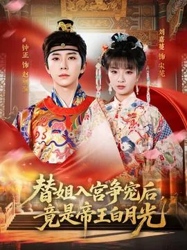 替姐姐入宫原来的风