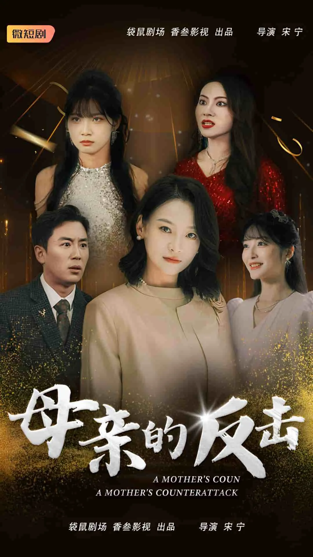 母亲的反击在线阅读