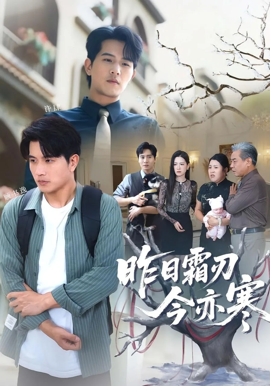 昨日霜刃今亦寒赵书恒结局