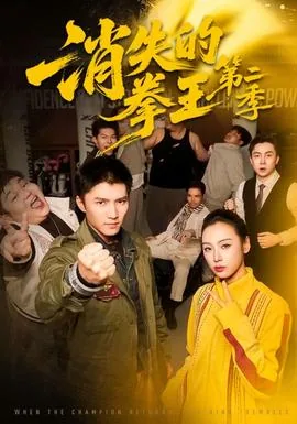 消失的拳王第二季有多少集