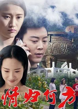 小说情归何处