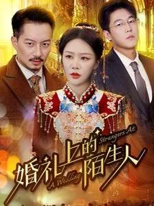婚礼的陌生人短剧在线观看免费版高清