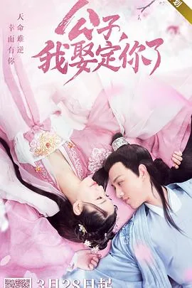 公子我娶定你了剧情介绍电视猫