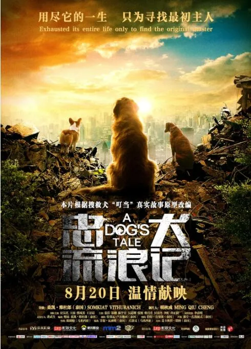 忠犬流浪记叮当的主人照片