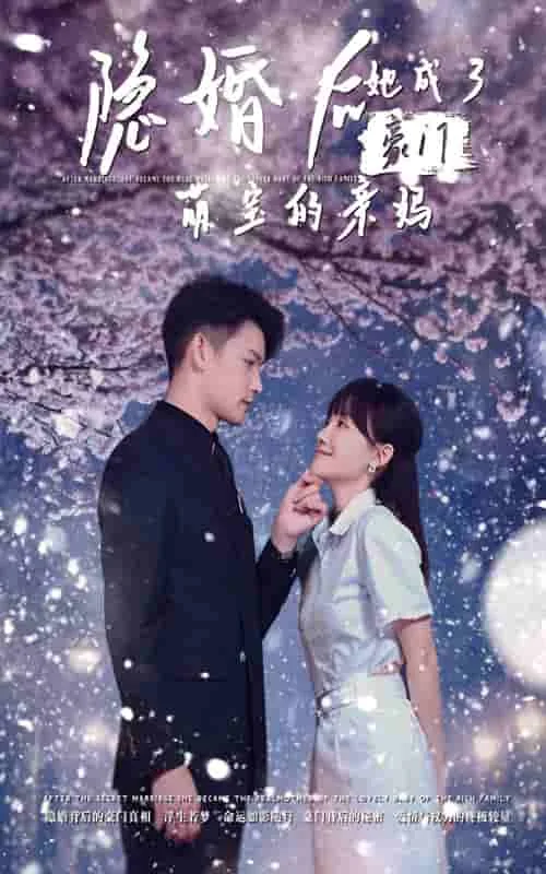 隐婚后,她成了豪门萌宝的亲妈爆火短剧