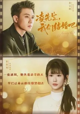 凌先生,我们结婚吧免费观看