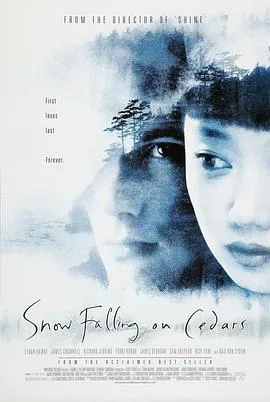落在香杉树的雪花翻译英文