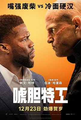 唬胆特工国语普通话配音