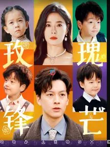 玫瑰锋芒全集免费观看
