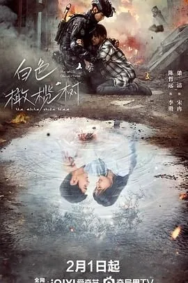 白色橄榄树融梗哪一本书