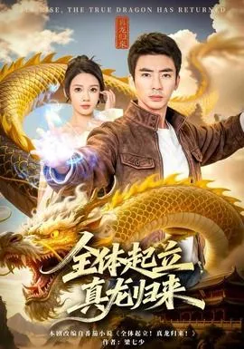 全体起立真龙归来全集免费观看