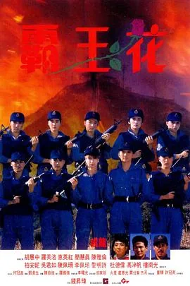 霸王花粤语高清
